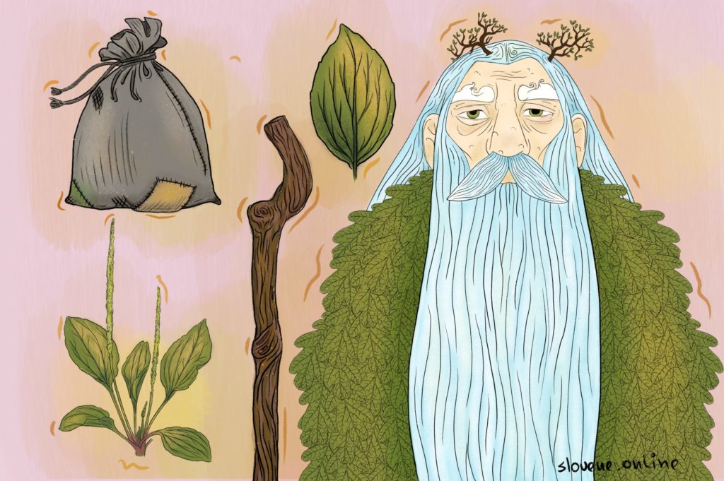 Leshy