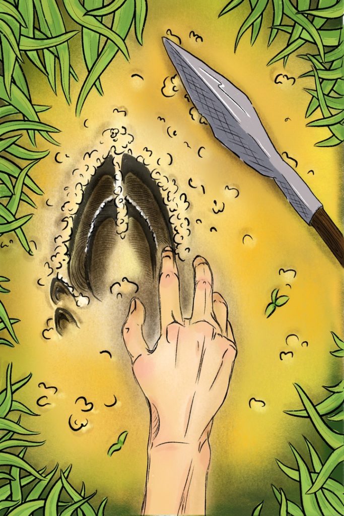 Boar hoof print