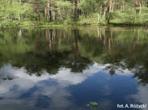 Poland National Parks