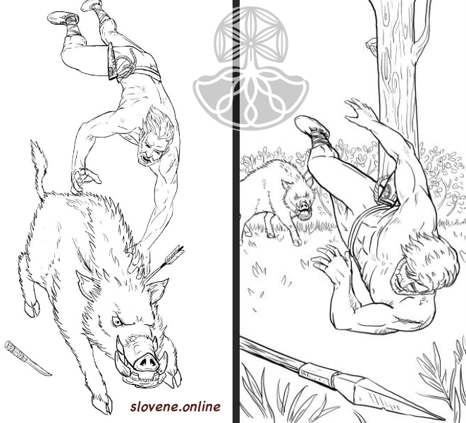 boar fight
