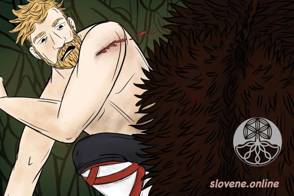 boar scar
