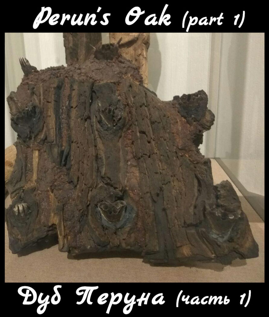 Perun oak